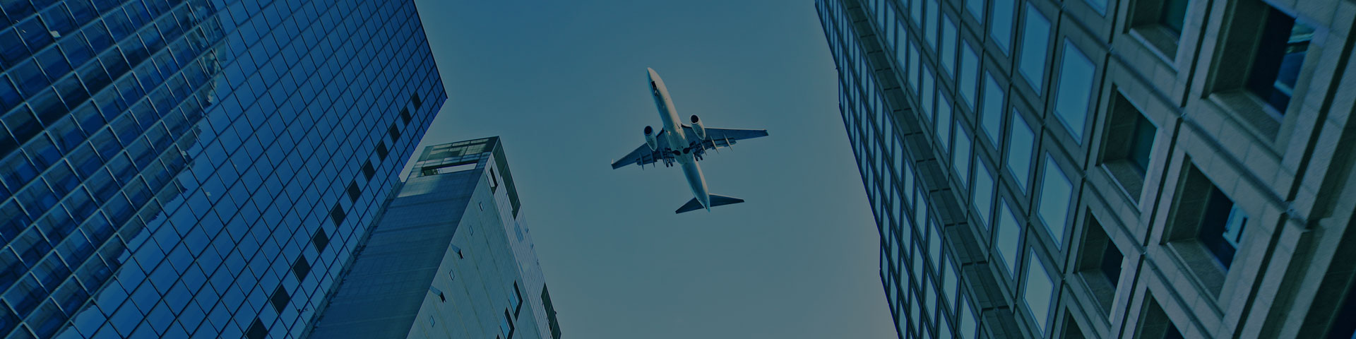 그누보드테마 티로그